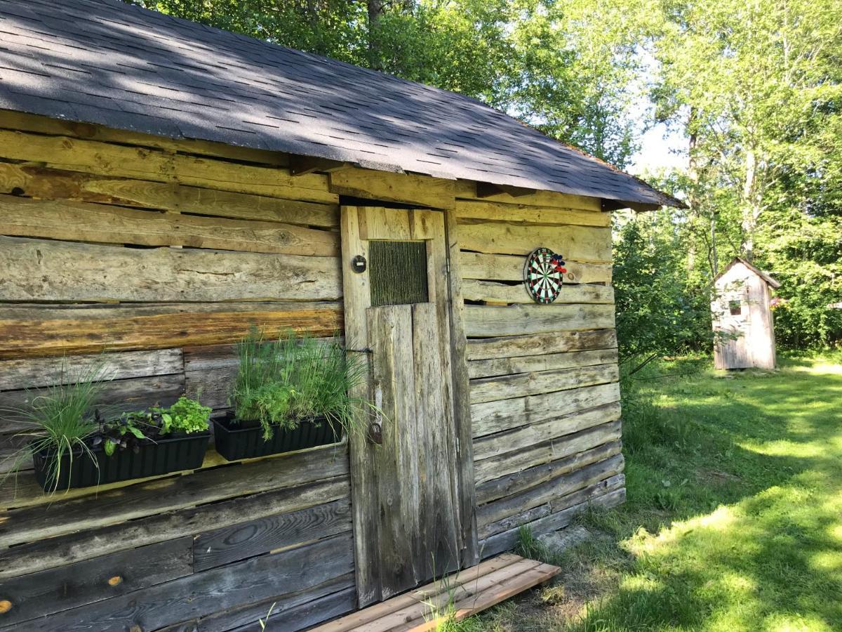 Haaviku Nature Cottage Tepelvalja Dış mekan fotoğraf